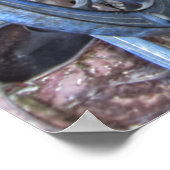 ジェネラルストア – バージニアシティ幽霊タウン – モンタナ ポスター (角)