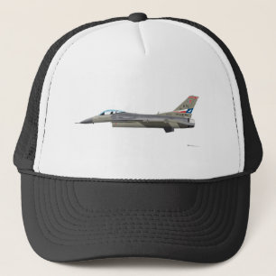 ジェネラル・ダイナミックスF-16Dの戦いの《鳥》ハヤブサのTex ANGのcol キャップ