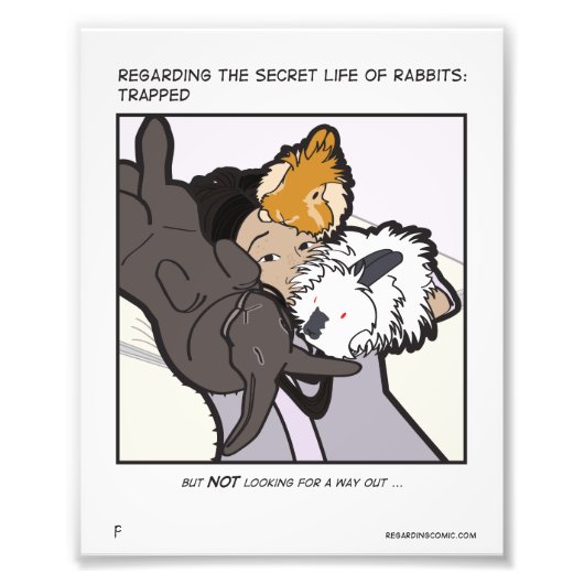 ジェネリ&バンス フォトプリント            (正面)