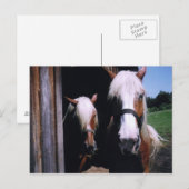 ジェフとケイト ポストカード (正面/裏面)