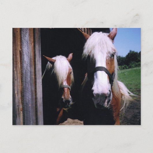 ジェフとケイト ポストカード (正面)