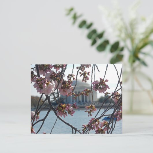 ジェファーソンメモリアルさくらんぼブロッサムフェスト ポストカード (スタンド正面)