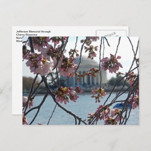 ジェファーソンメモリアルさくらんぼブロッサムフェスト ポストカード (正面/裏面)