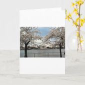 ジェファーソンメモリアルワシントンDCさくらんぼ花 カード (黄色い花)