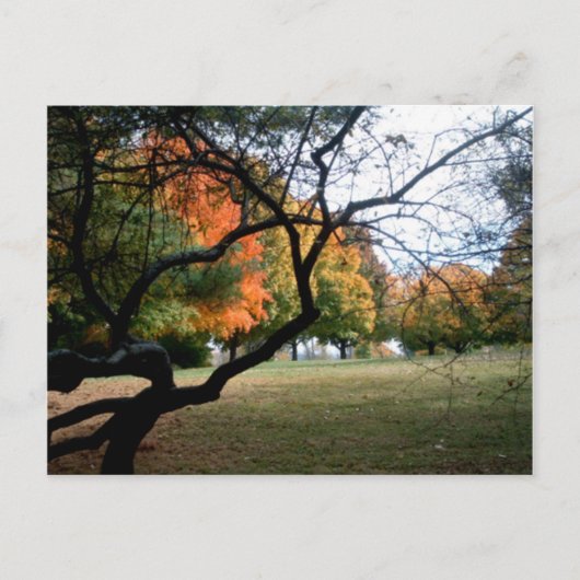 ジェファーソン兵舎 ポストカード (正面)