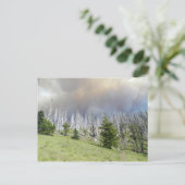 ジェファーソン・ウィルダネス山 ポストカード (スタンド正面)