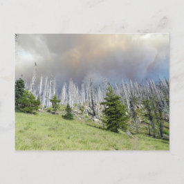 ジェファーソン・ウィルダネス山 ポストカード