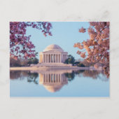 ジェファーソン・メモリアルの美しい質感の写真 ポストカード (正面)