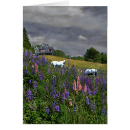 ジェファーソン・ルパンの心構え