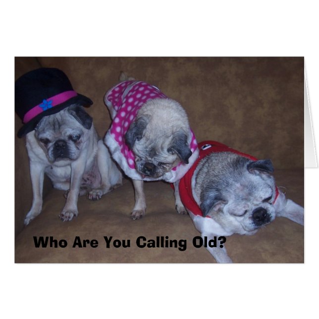 ジェフジーナおじいちゃん誰と呼ぶの… (正面横)