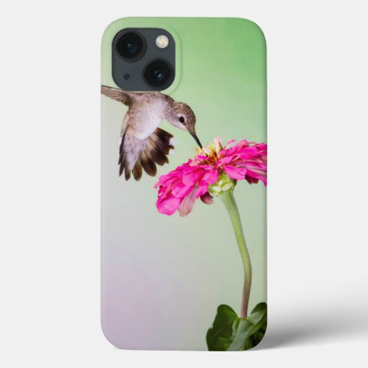 ジェフデイヴィス郡、テキサス州 Case-Mate iPhoneケース (裏面)