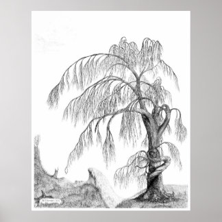 ジェフ・カムデン著「母自然」 ポスター