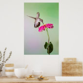 ジェフ・デイビス郡(テキサス州) ポスター (キッチン)