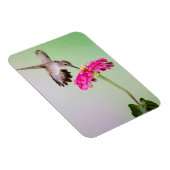 ジェフ・デイビス郡(テキサス州) マグネット (右側)