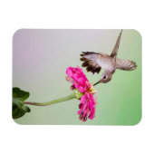 ジェフ・デイビス郡(テキサス州) マグネット (横)