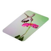 ジェフ・デイビス郡(テキサス州) マグネット (左側)