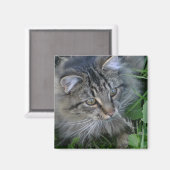 ジェベディア！ マグネット (正面/裏面)