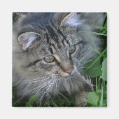 ジェベディア！ マグネット (正面)