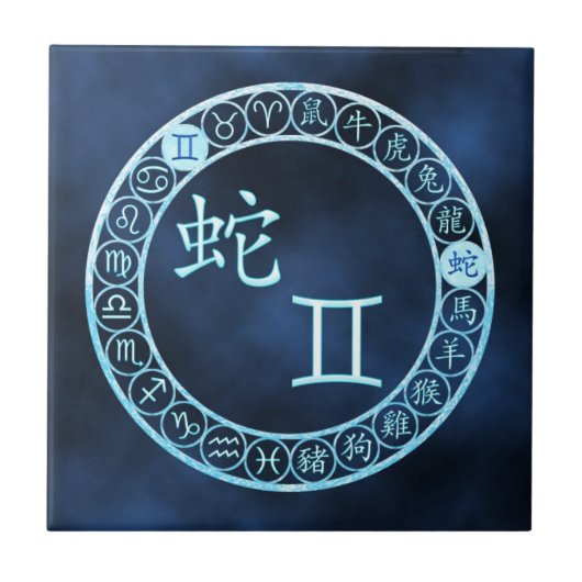 ジェミニかヘビ タイル (正面)