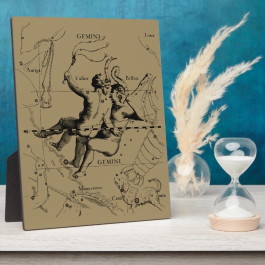 ジェミニコンステレーション〔占星術の〕十二宮図ヘベリウス1690 フォトプラーク (側面)