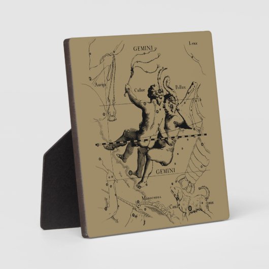 ジェミニコンステレーション〔占星術の〕十二宮図ヘベリウス1690 フォトプラーク (正面)