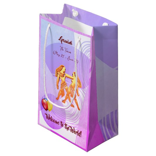 ジェミニベビー(5月21日~6月20日)双子 スモールペーパーバッグ (正面アングル)