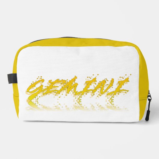 ジェミニ反射 ドップキット (正面)