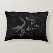 ジェミニ星座ヘベリアス1690オンブラック アクセントクッション (裏面)