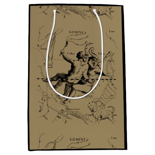 ジェミニ星座ヘベリアス1690年5月12日–6月20日 ミディアムペーパーバッグ (正面)