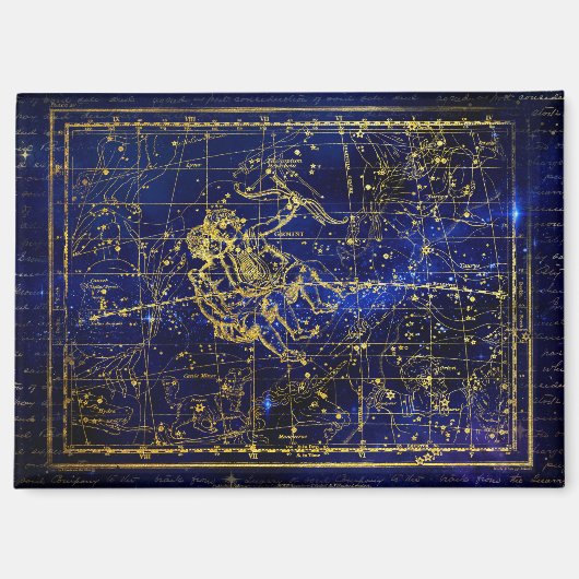 ジェミニ星座マグネット マグネット (正面)