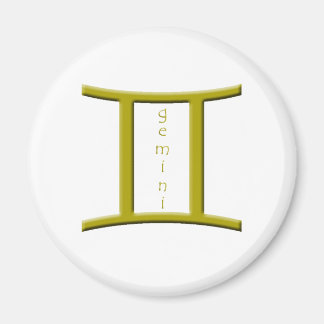 ジェミニ磁石 マグネット