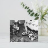 ジェミニ&ウィスパー ポストカード (スタンド正面)