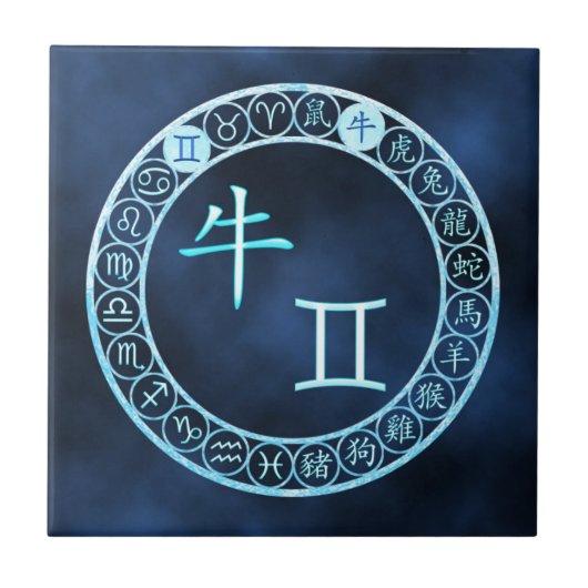 ジェミニ/オックス タイル (正面)