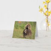 ジェラダバブーン カード (黄色い花)