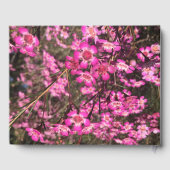 ジェラルトンワックス ゲストブック (裏面)