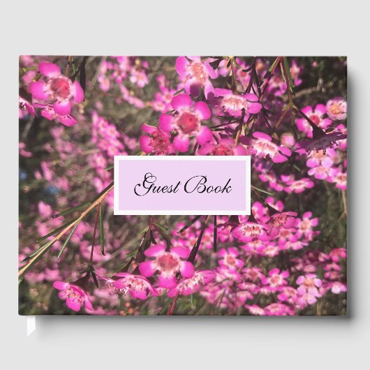 ジェラルトンワックス ゲストブック (正面)