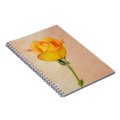 ジェリかわいらしティの庭から黄色のバラ ノートブック (右側)