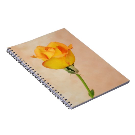 ジェリかわいらしティの庭から黄色のバラ ノートブック (右側)