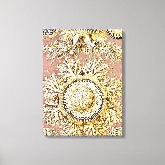 ジェリーディスコby Ernst Haeckel キャンバスプリント (正面)