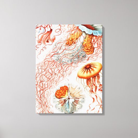 ジェリーディスコby Ernst Haeckel キャンバスプリント (正面)