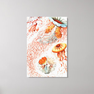 ジェリーディスコby Ernst Haeckel キャンバスプリント