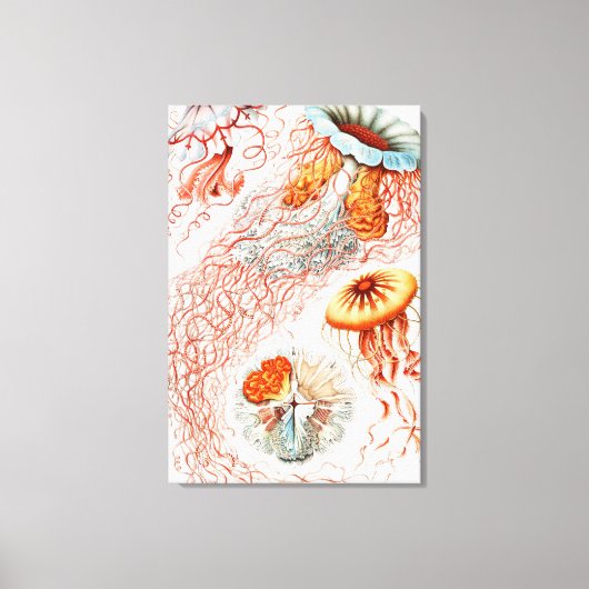 ジェリーディスコby Ernst Haeckel キャンバスプリント (正面)