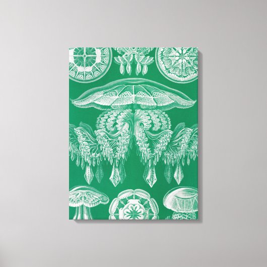 ジェリーディスコby Ernst Haeckel キャンバスプリント (正面)