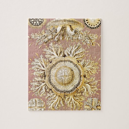 ジェリーディスコby Ernst Haeckel ジグソーパズル (縦)