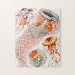 ジェリーディスコby Ernst Haeckel ジグソーパズル<br><div class="desc">Ernst Haeckel Jigsawによるクラゲ、Discomedusae Scheibenquallenパズル。</div>
