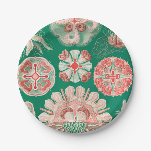 ジェリーディスコby Ernst Haeckel ペーパープレート (正面)