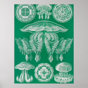 ジェリーディスコby Ernst Haeckel ポスター