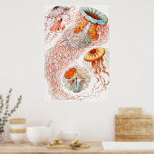 ジェリーディスコby Ernst Haeckel ポスター (キッチン)