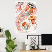 ジェリーディスコby Ernst Haeckel ポスター (ホームオフィス)