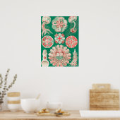 ジェリーディスコby Ernst Haeckel ポスター (キッチン)